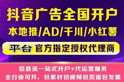 SEM服务公司经典案例集锦